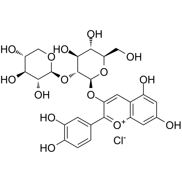 Cyanidin 3-sambubioside chloride (Cyanidin-3-O-sambubioside chloride) 33012-73-6